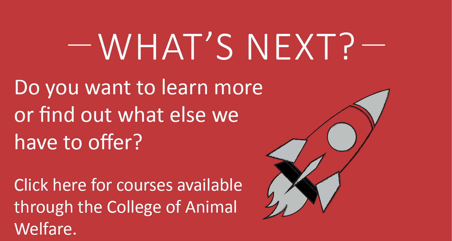 More courses at The College of Animal Welfare